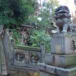 赤坂氷川神社に行くなら忘れずに