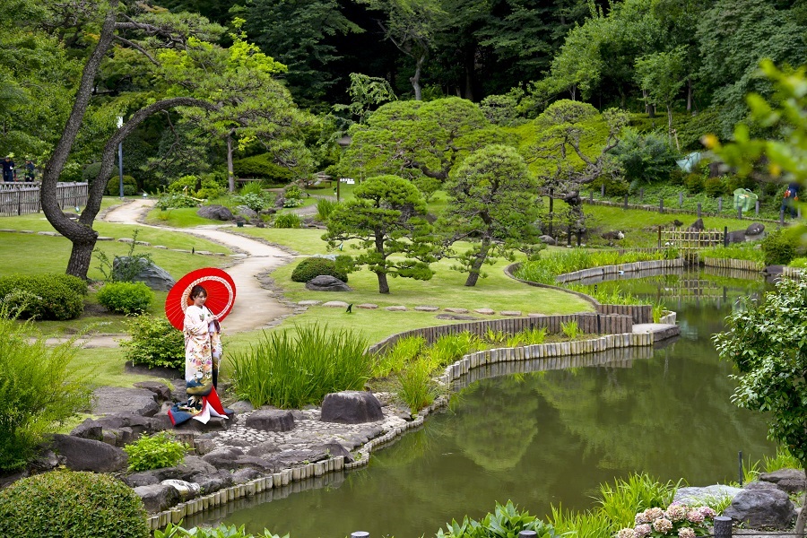 庭園ロケーション撮影　～肥後細川庭園～