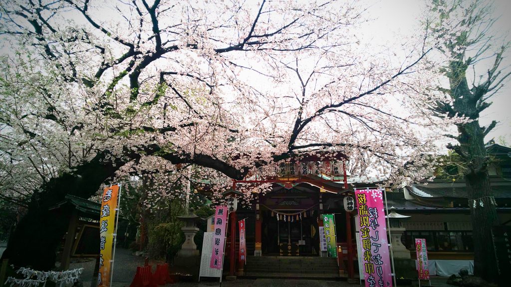 居木神社 奉告祭 和装ロケーション撮影