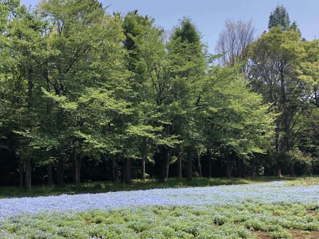 【今日は何の日？】5月4日