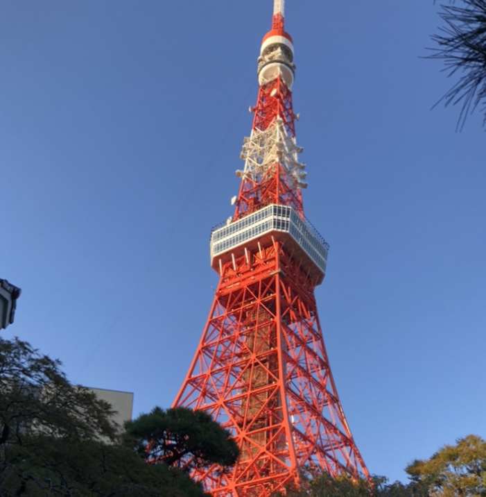 【東京タワー】ライトアップ