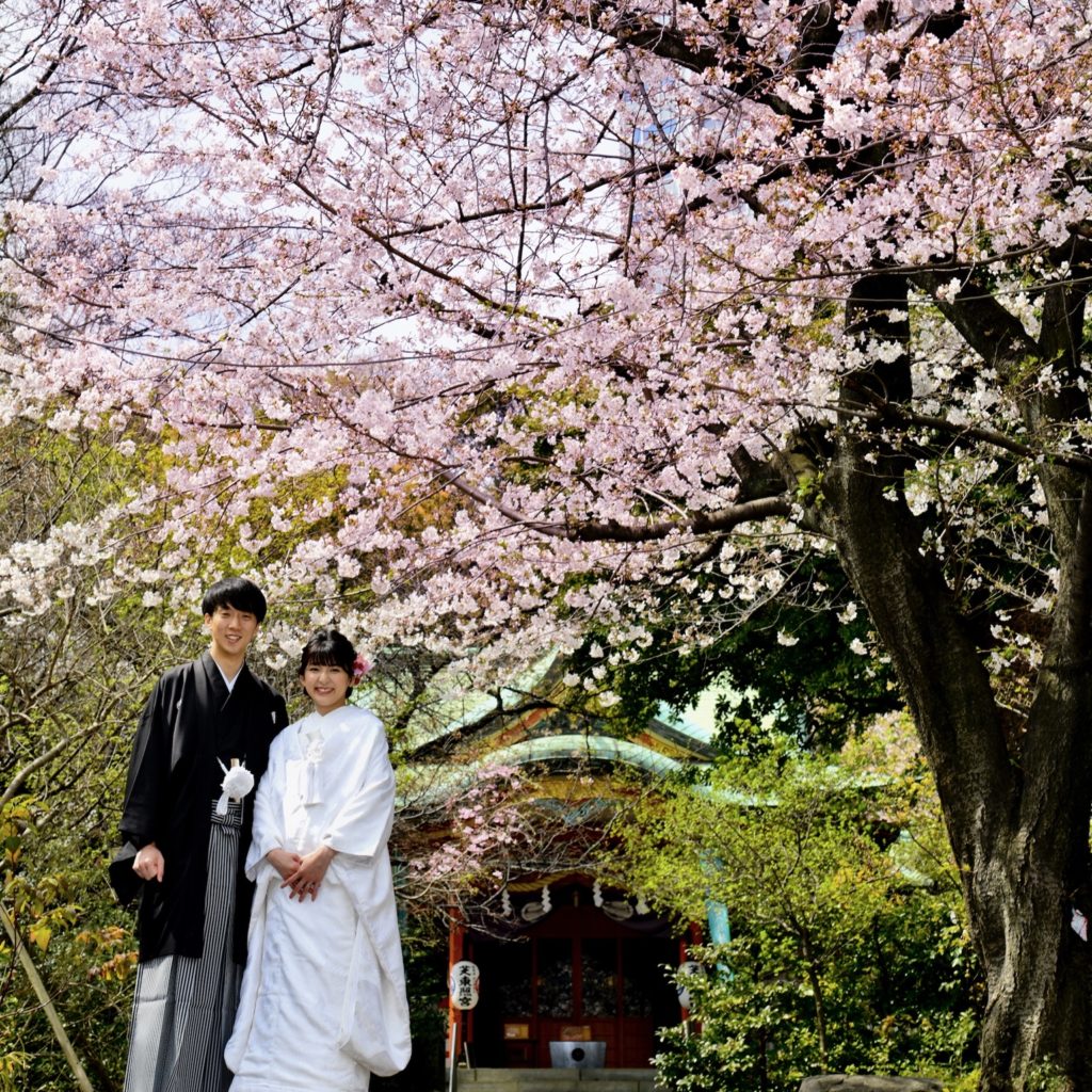 和婚ネットのおとなり都立芝公園と芝東照宮　2021年3月12日の桜開花状況♪