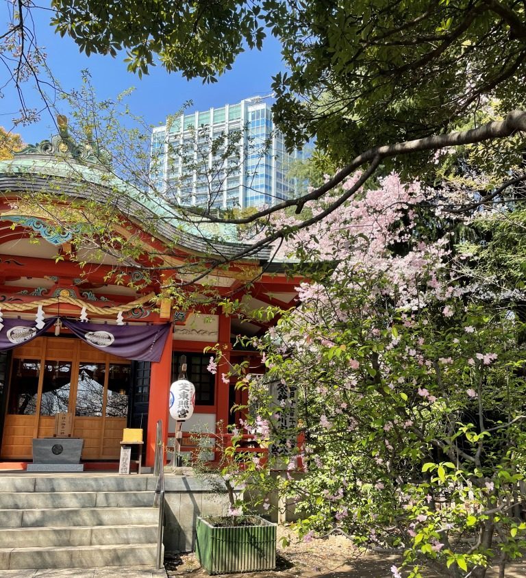 和婚ネット芝店のおとなり都立芝公園と芝東照宮の桜　2021年3月26日の開花状況♪