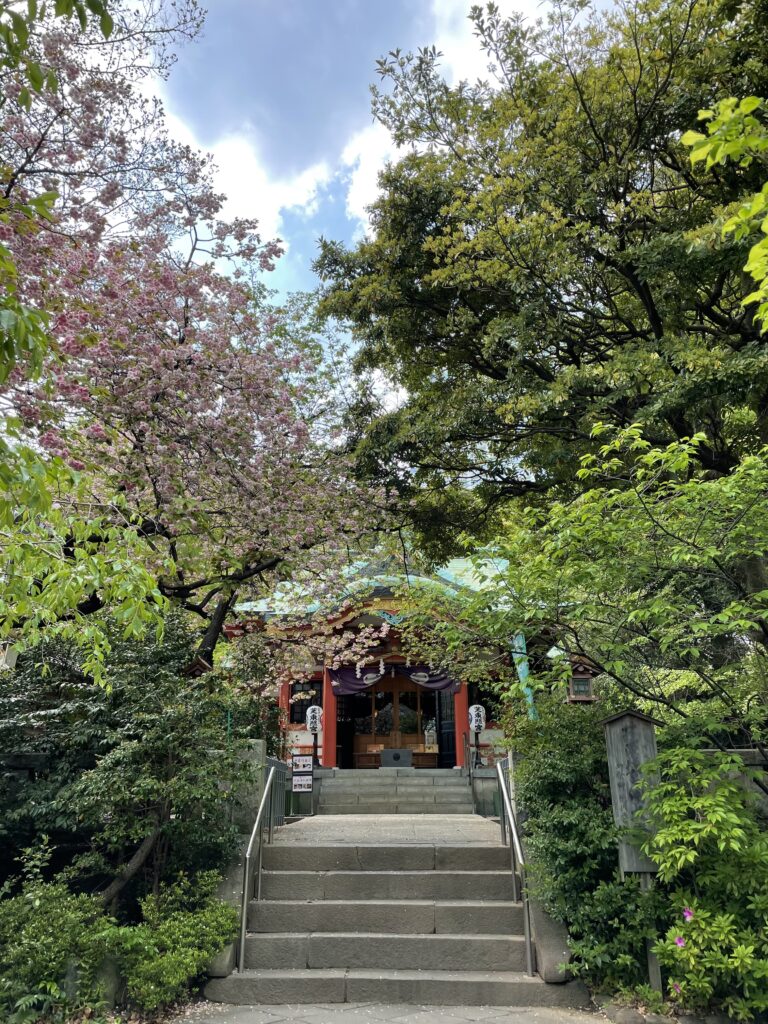 和婚ネット芝店周辺情報♪　芝東照宮の大イチョウと特別価格のロケーション撮影プラン