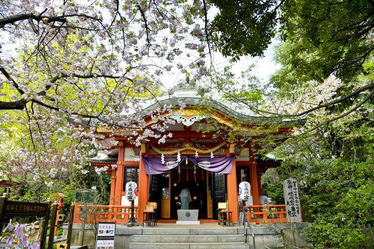 「芝東照宮」と「芝とうふ屋うかい」の結婚式