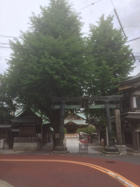 湯島天満宮の散歩と梅の社紋