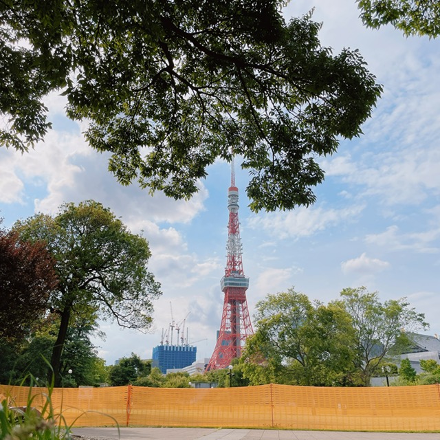 東京も梅雨入りが発表されました！