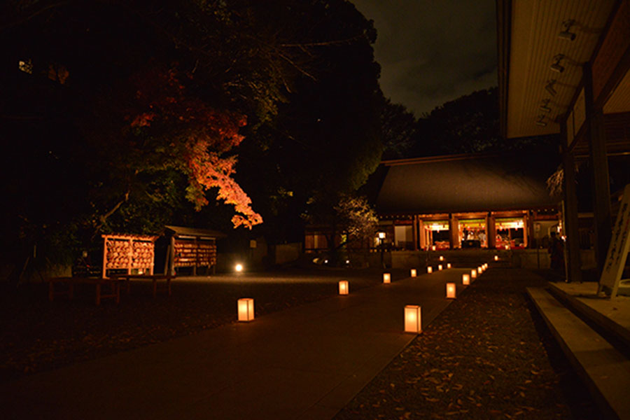 乃木神社 夜の参道