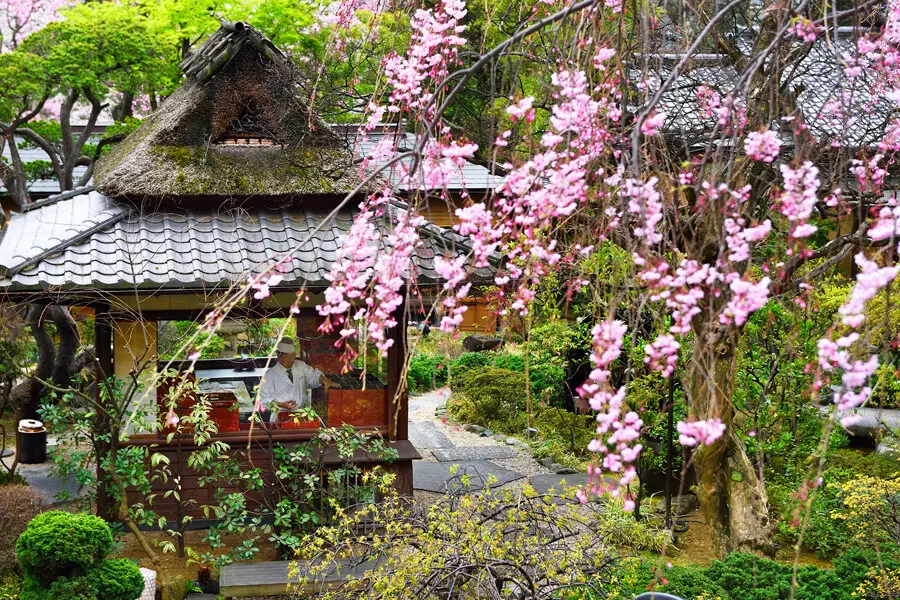 東京 芝 とうふ屋うかい