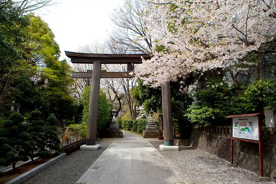 東郷神社 鳥居