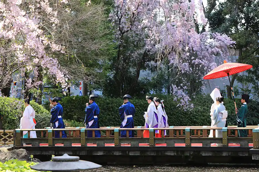 東郷神社 参進