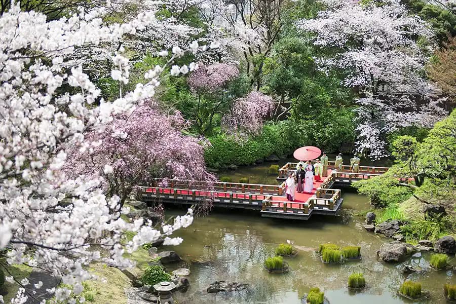 東郷神社 参進