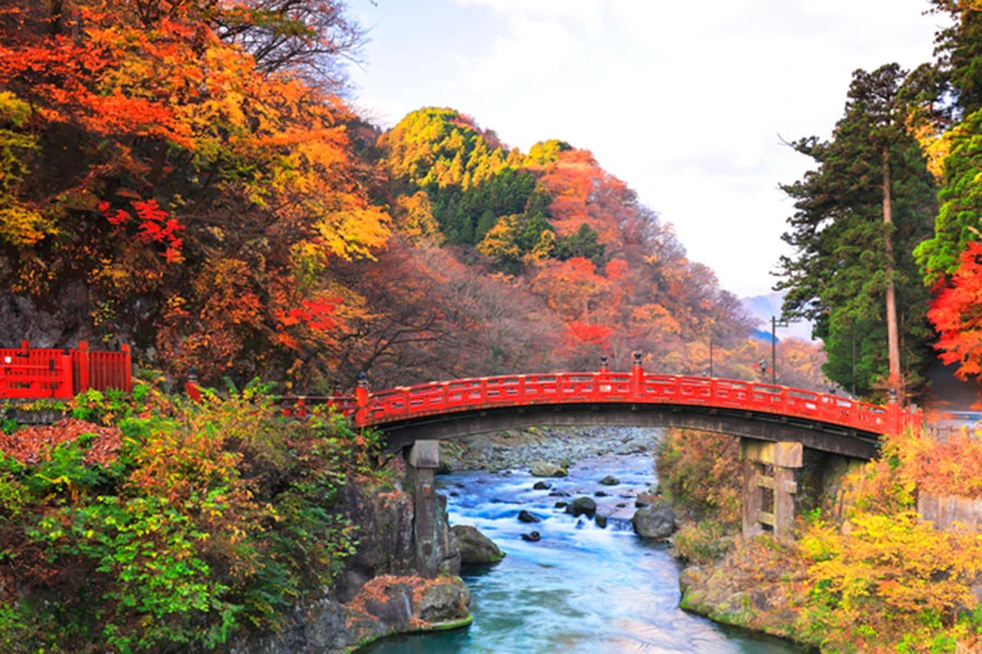 日光二荒山神社：景色